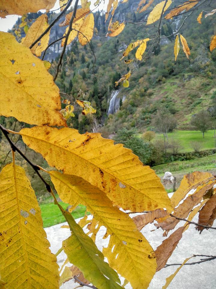 Tonya Karaağaçlı Köyü Resimleri 21