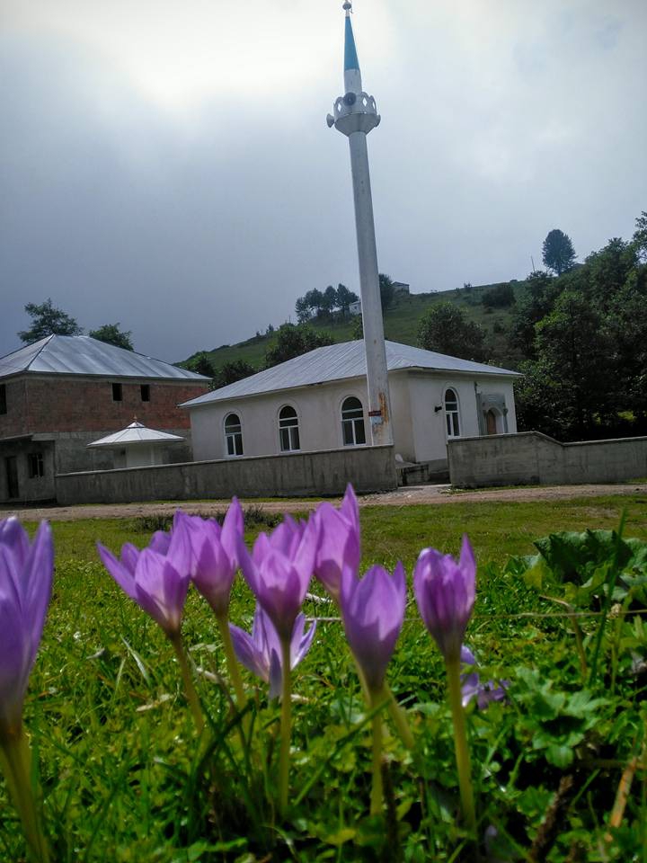 Tonya Karaağaçlı Köyü Resimleri 22