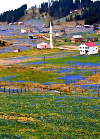 Tonya Karaağaçlı Köyü Resimleri 24