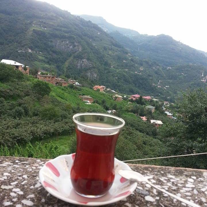 Tonya Karaağaçlı Köyü Resimleri 28