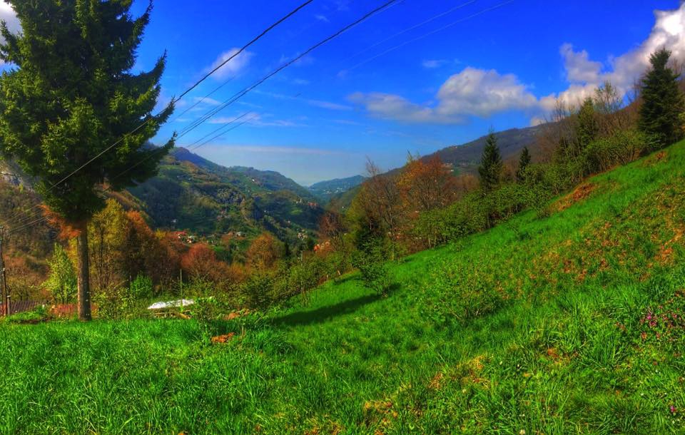 Tonya Karaağaçlı Köyü Resimleri 30