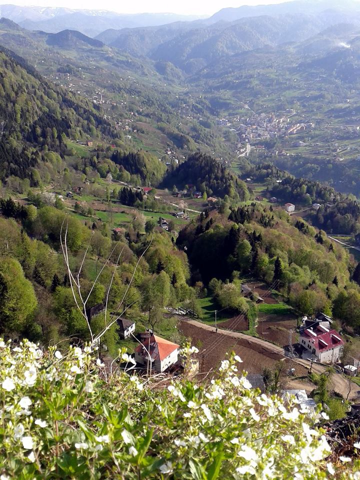 Tonya Karaağaçlı Köyü Resimleri 35