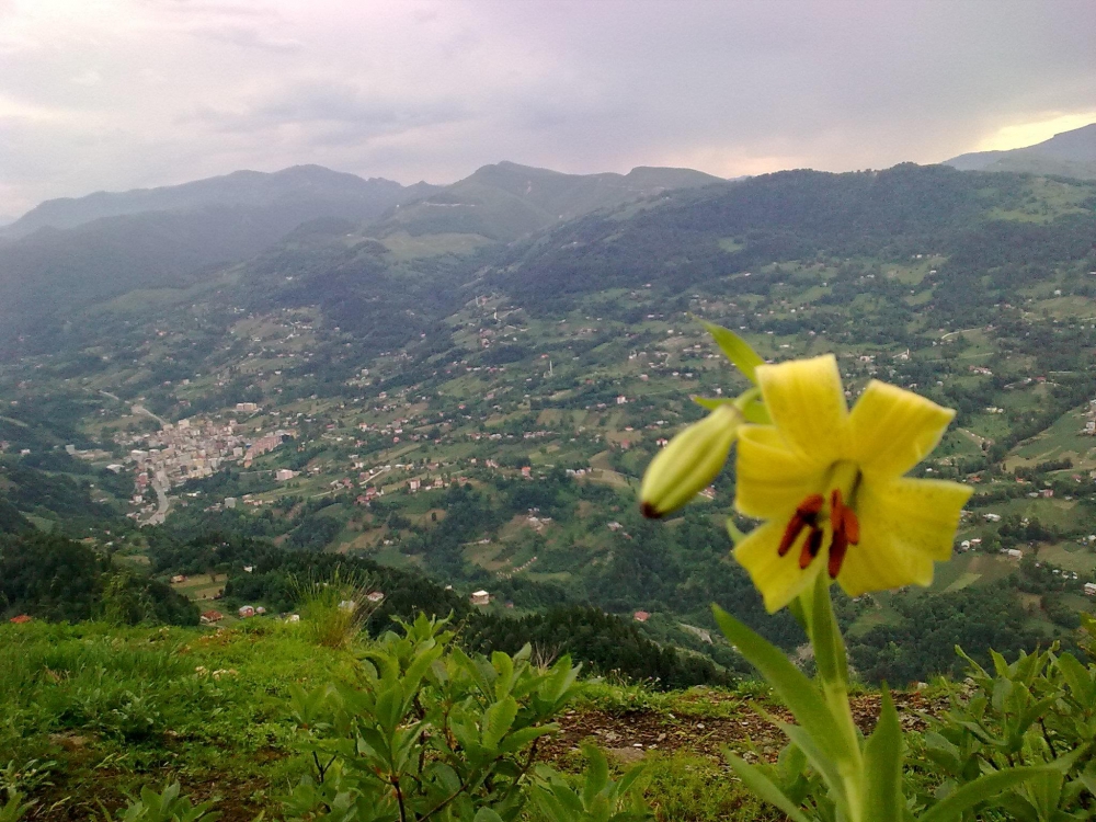 Tonya Karaağaçlı Köyü Resimleri 38
