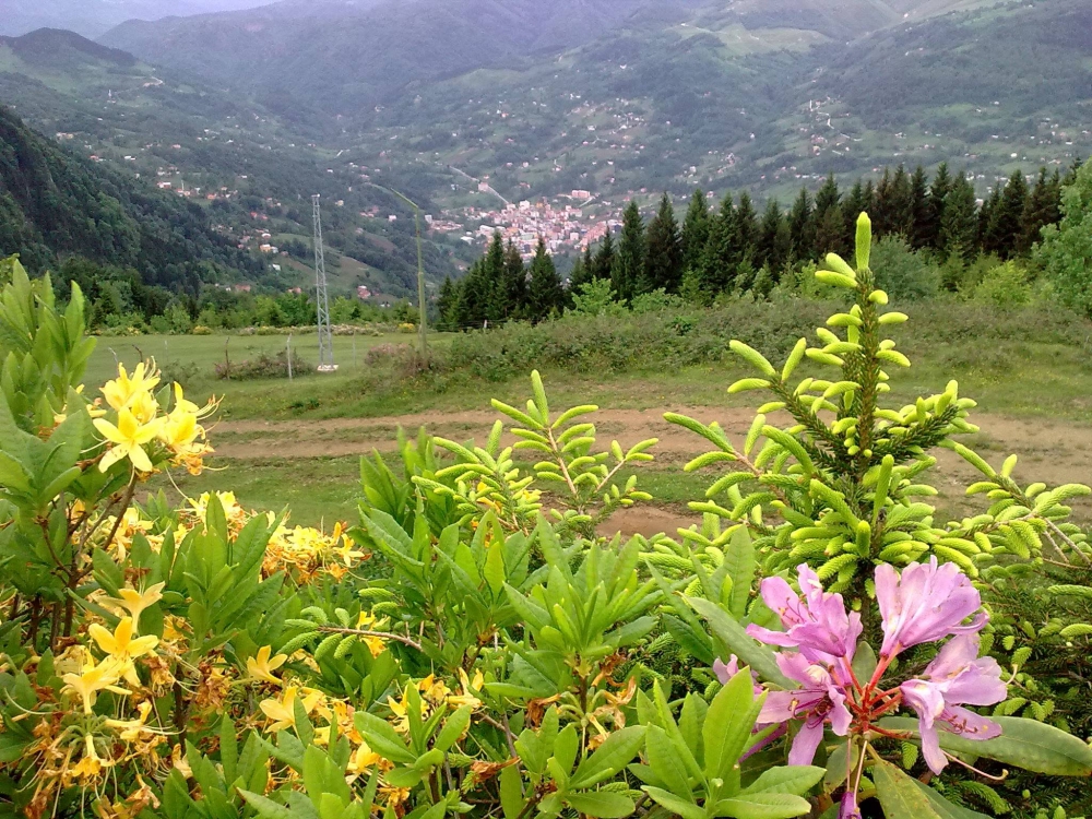 Tonya Karaağaçlı Köyü Resimleri 39