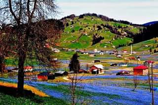 Tonya Karaağaçlı Köyü Resimleri 4