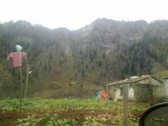 Tonya Karaağaçlı Köyü Resimleri 7