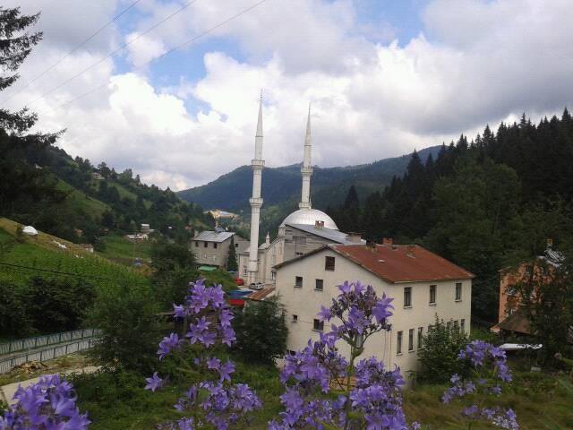 Tonya Karaağaçlı Köyü Resimleri 9