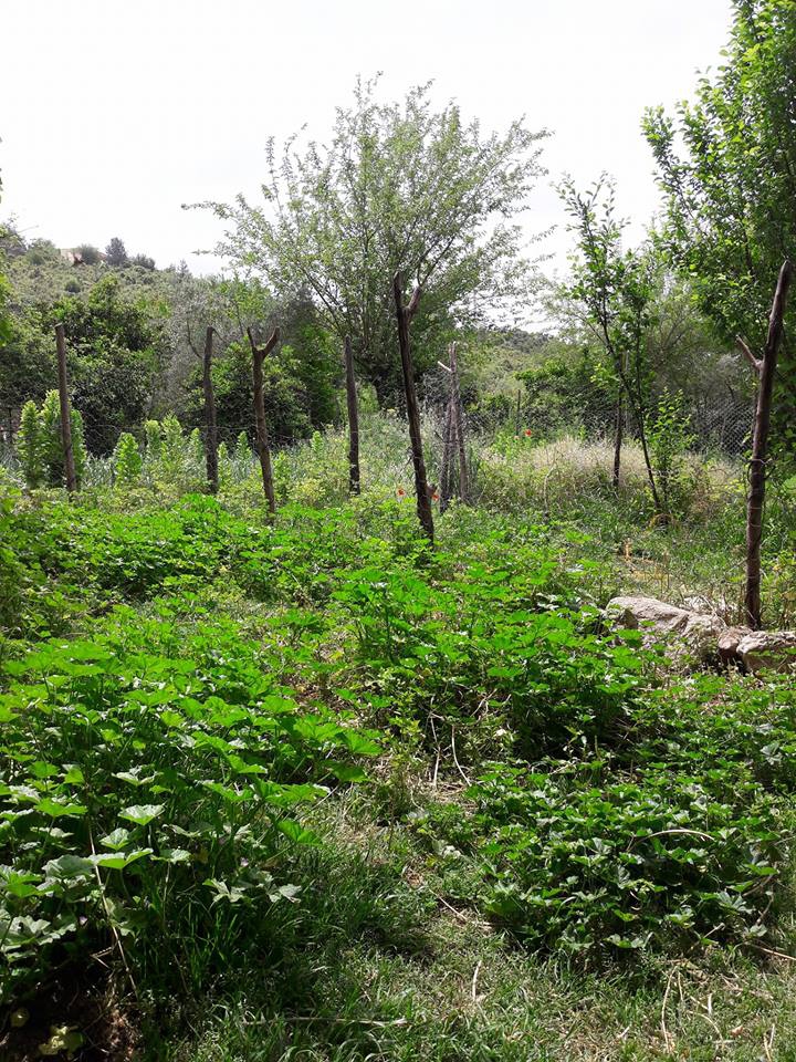 Andırın Kızık Köyü Resimleri 11