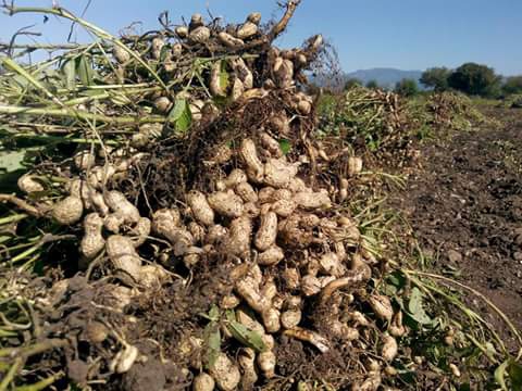 Andırın Kızık Köyü Resimleri 3