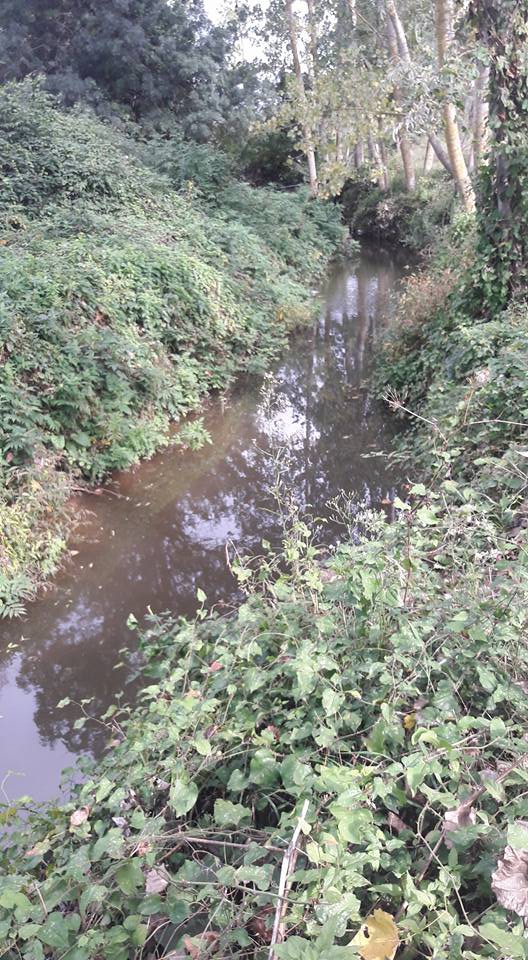 Bafra Elifli Köyü Resimleri 3