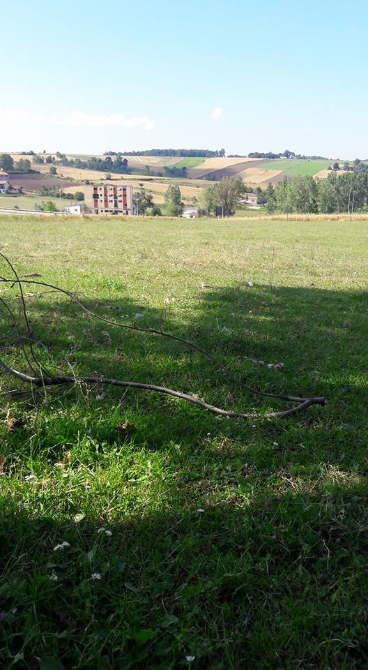 Bafra Elifli Köyü Resimleri 4