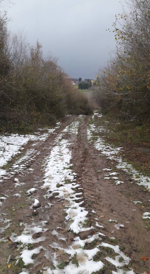 Bafra Elifli Köyü Resimleri 5