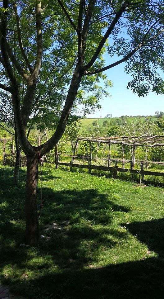 Bafra Elifli Köyü Resimleri 6