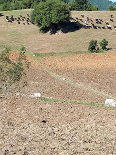 Andırın Köklü Köyü Resimleri 6