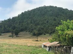 Andırın Köklü Köyü Resimleri 8