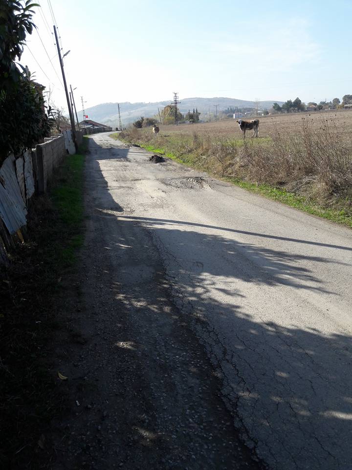 Bafra Erenuşağı Köyü Resimleri 3