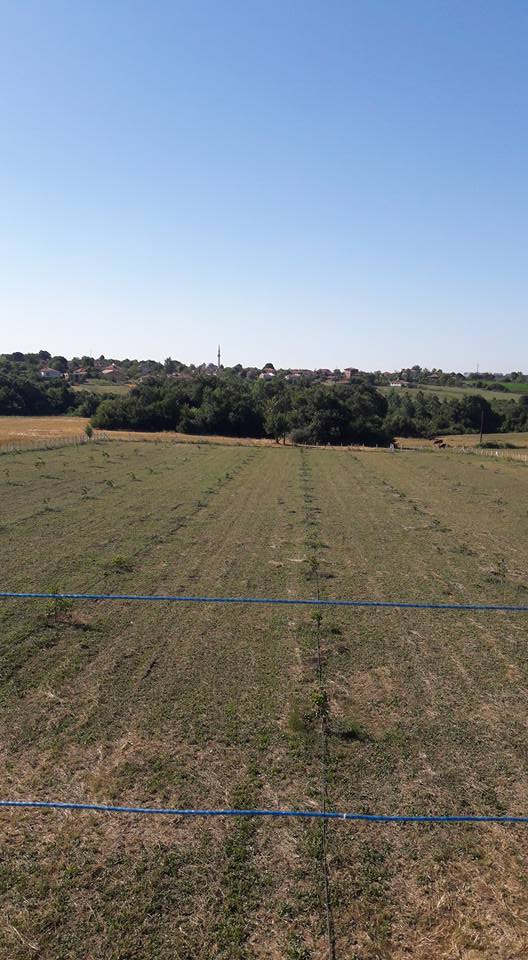 Bafra Fener Köyü Resimleri 1