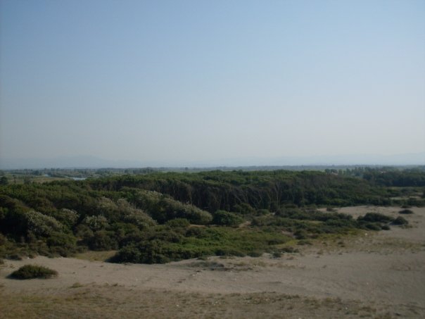 Bafra Fener Köyü Resimleri 2