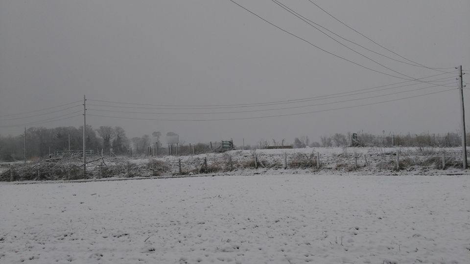 Bafra Fener Köyü Resimleri 6