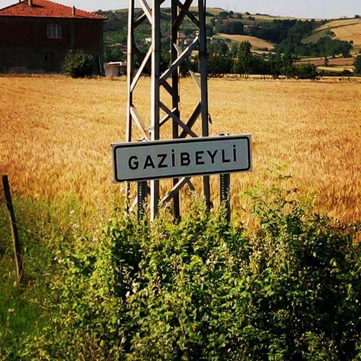 Bafra Gazibeyli Köyü Resimleri 3