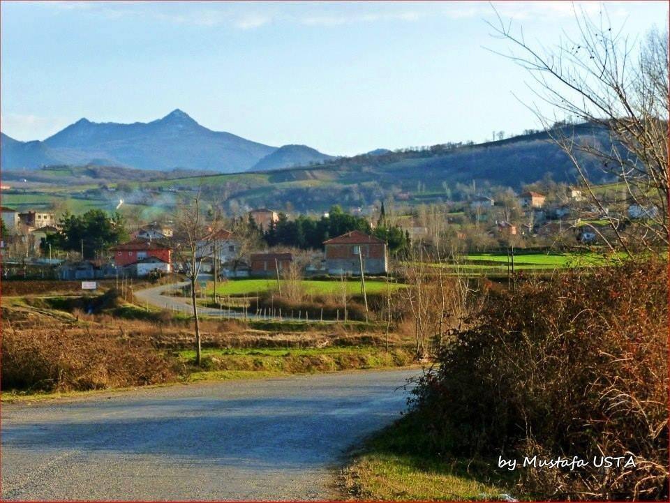 Bafra Gazibeyli Köyü Resimleri 5