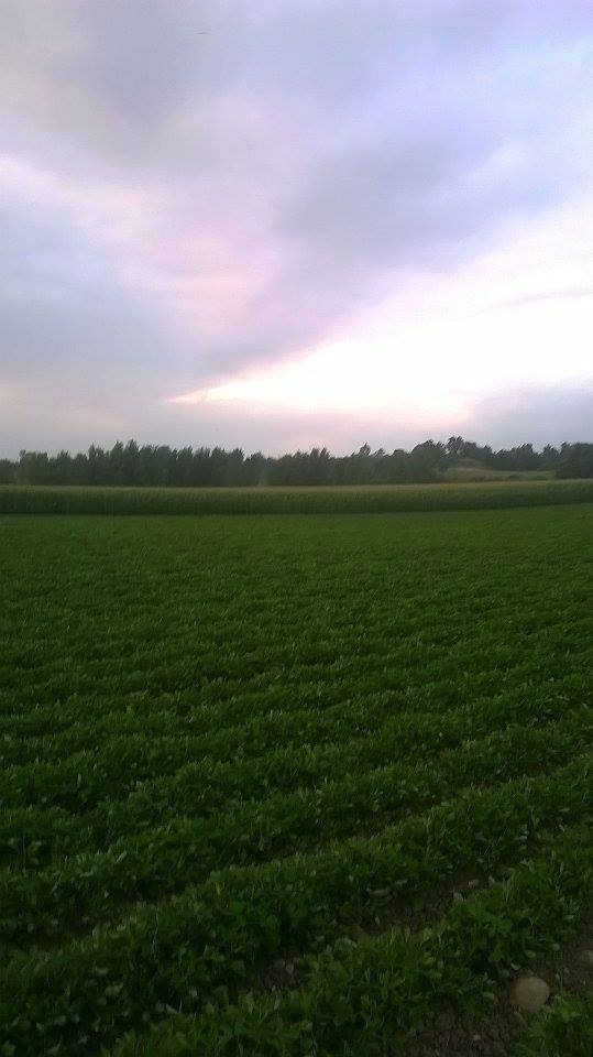 Andırın Kumarlı Köyü Resimleri 4