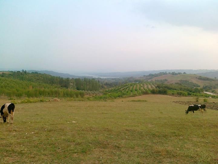 Andırın Kumarlı Köyü Resimleri 5