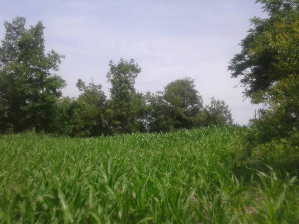 Andırın Kumarlı Köyü Resimleri 7