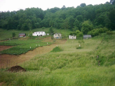 Tonya Yakçukur Köyü Resimleri 1