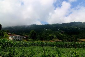 Tonya Yakçukur Köyü Resimleri 15