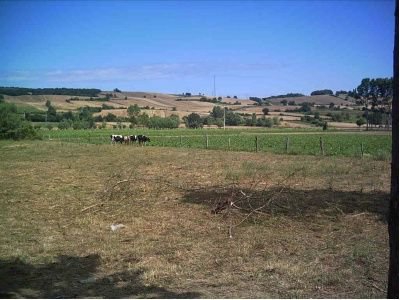 Bafra Gökalan Köyü Resimleri 4