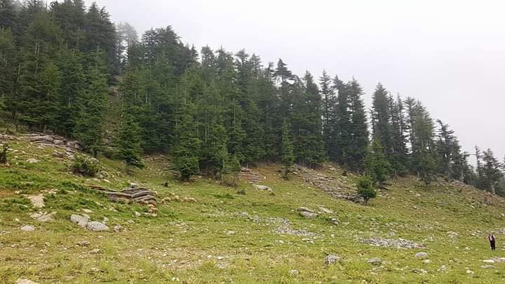 Andırın Osmancık  Köyü Resimleri 4