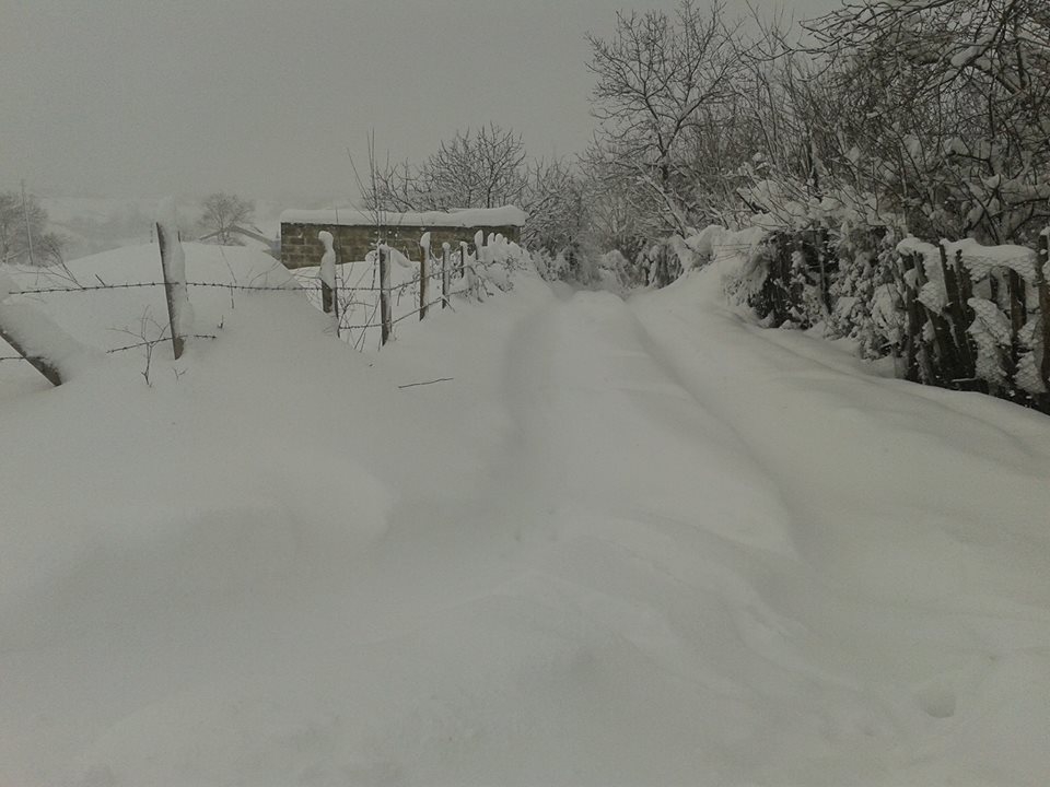 Bafra Gökçeağaç Köyü Resimleri 2
