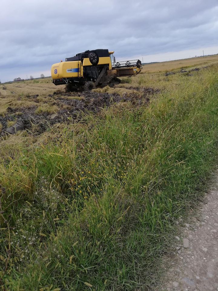 Bafra Harız Köyü Resimleri 3