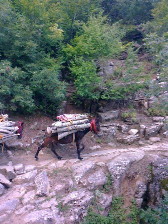 Andırın Yeniköy Köyü Resimleri 1