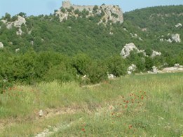 Andırın Yeniköy Köyü Resimleri 10