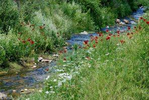 Andırın Yeniköy Köyü Resimleri 9