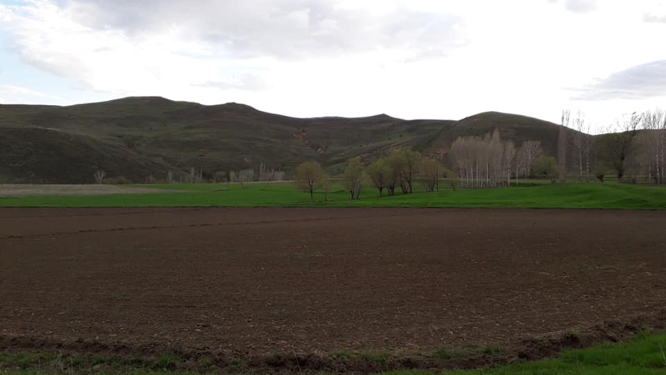 Bayburt Karlıca Köyü Resimleri 10