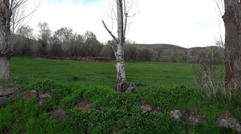 Bayburt Karlıca Köyü Resimleri 8