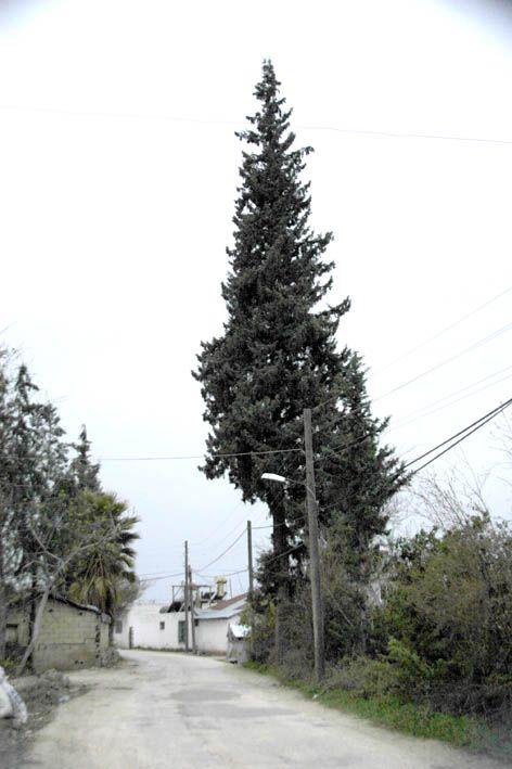 Andırın Yeşilova Köyü Resimleri 5