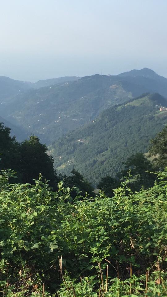 Tonya Kozluca Köyü Resimleri 12