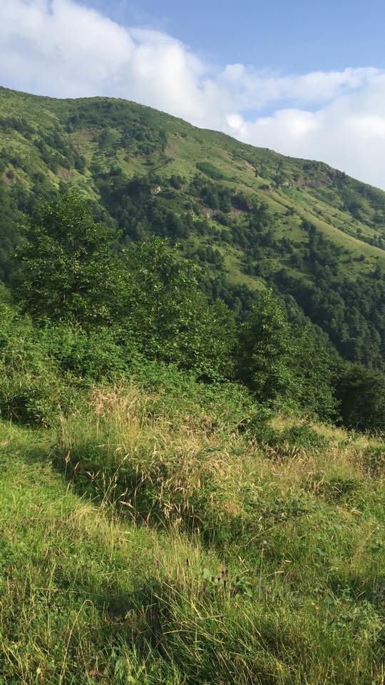 Tonya Kozluca Köyü Resimleri 14