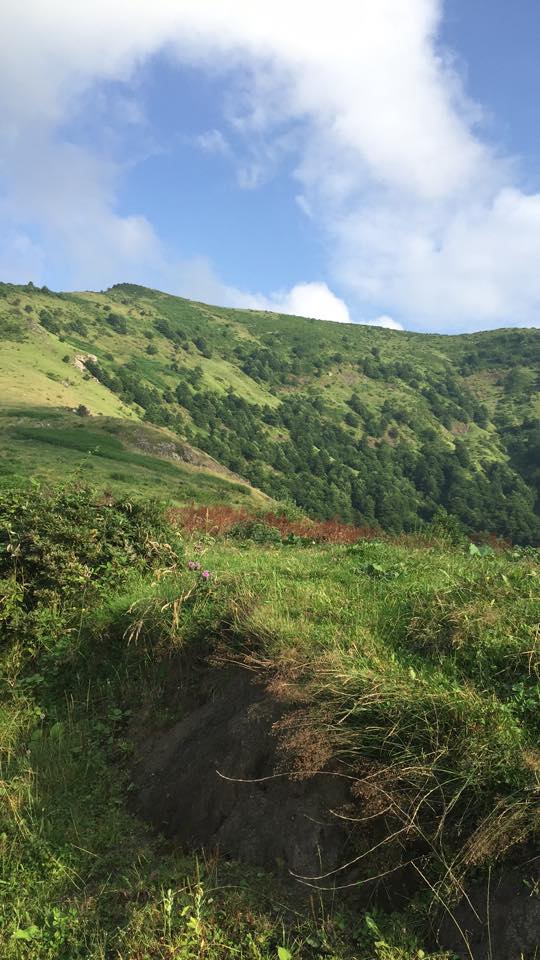 Tonya Kozluca Köyü Resimleri 15