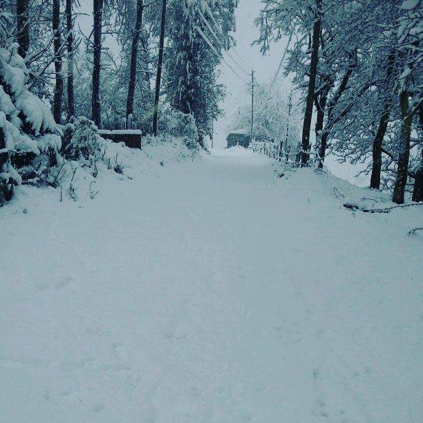 Tonya Kozluca Köyü Resimleri 5