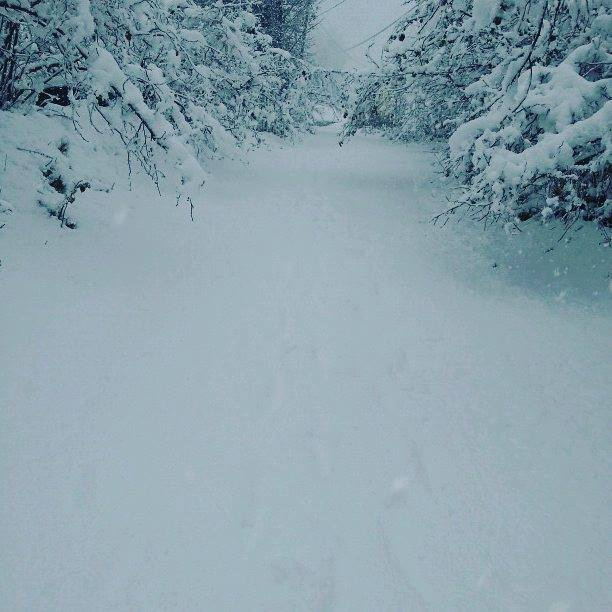 Tonya Kozluca Köyü Resimleri 6