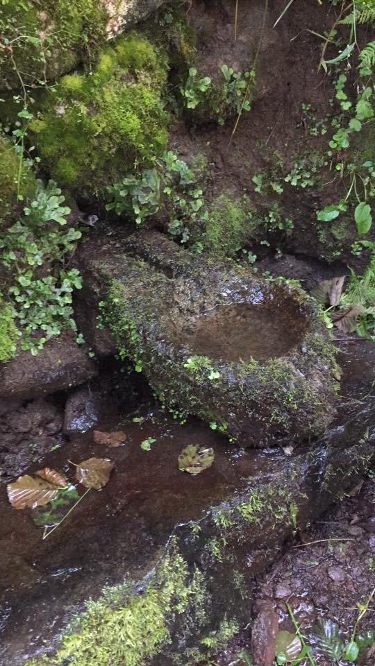 Tonya Kozluca Köyü Resimleri 9