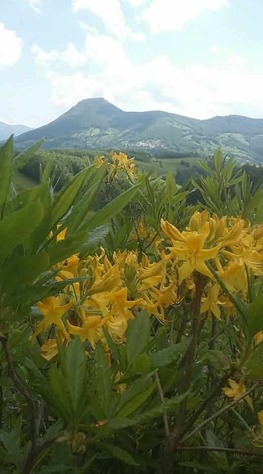 Bafra Hıdırellez  Köyü Resimleri 5