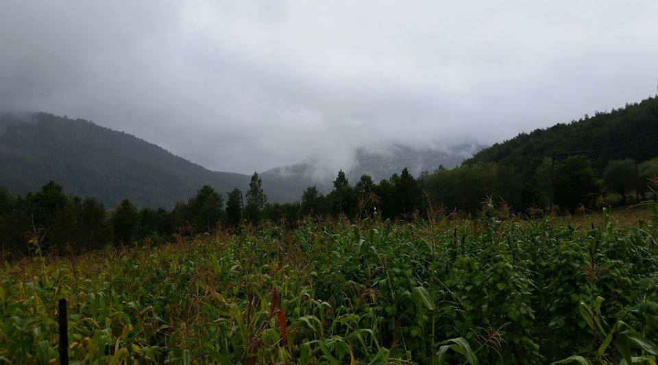 Bafra Hıdırellez  Köyü Resimleri 6