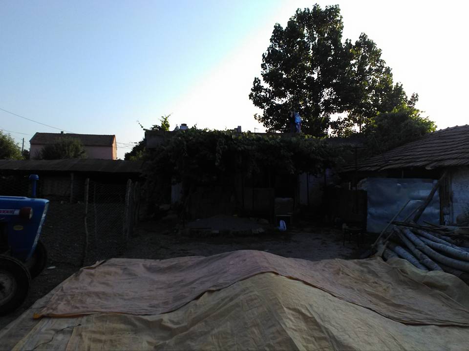 Bafra Hüseyinbeyli Köyü Resimleri 3