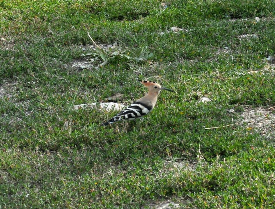 Bayburt Kıratlı Köyü Resimleri 7